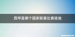西甲是哪个国家联赛比赛场地