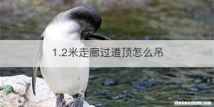 1.2米走廊过道顶怎么吊