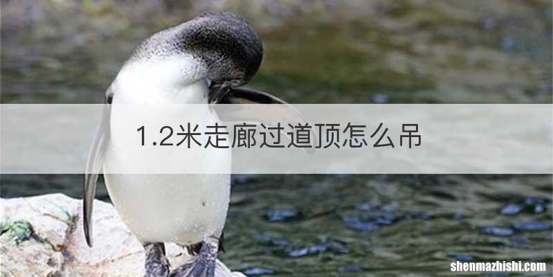 1.2米走廊过道顶怎么吊
