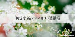 联想小新pro14和16贴膜吗