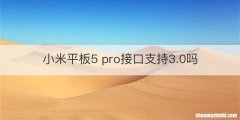 小米平板5 pro接口支持3.0吗