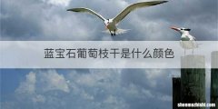 蓝宝石葡萄枝干是什么颜色