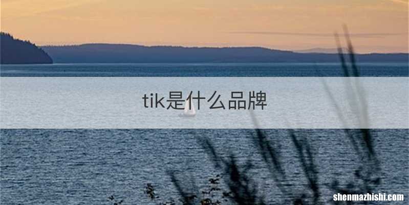 tik是什么品牌