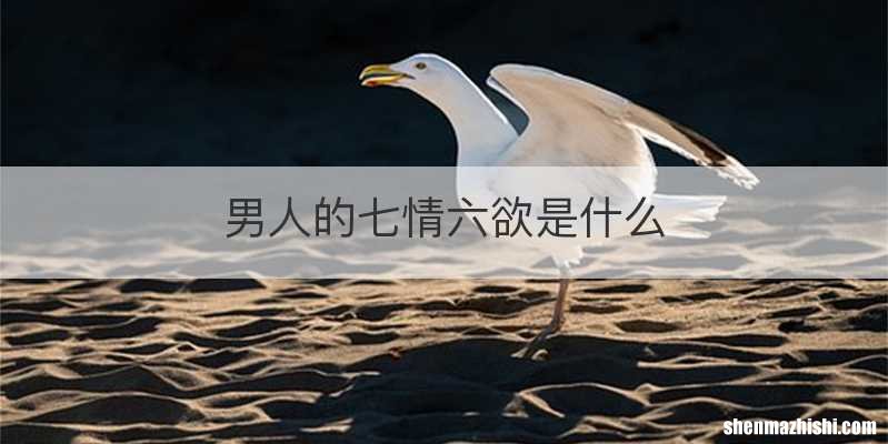 男人的七情六欲是什么