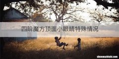 四阶魔方顶面小眼睛特殊情况