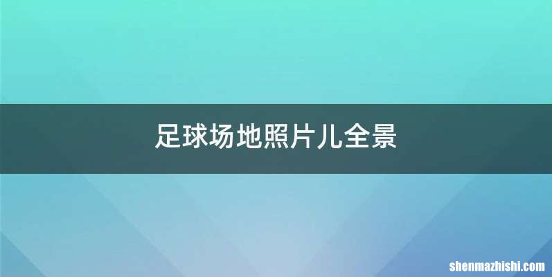 足球场地照片儿全景