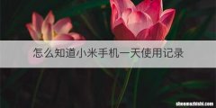 怎么知道小米手机一天使用记录