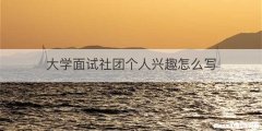 大学面试社团个人兴趣怎么写
