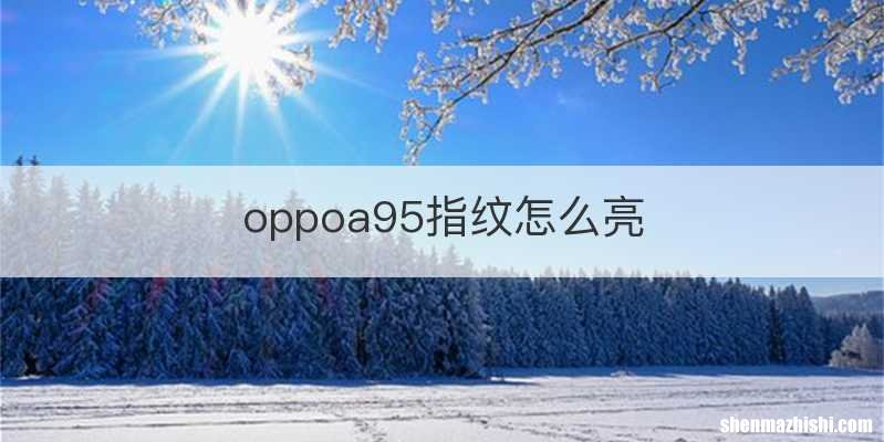 oppoa95指纹怎么亮