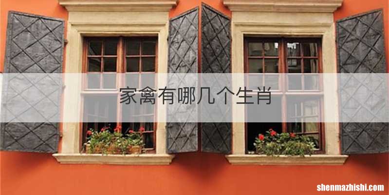 家禽有哪几个生肖
