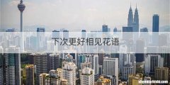 下次更好相见花语