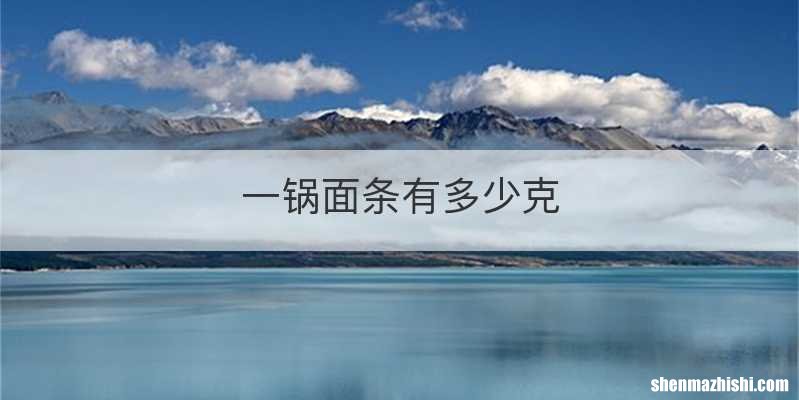 一锅面条有多少克