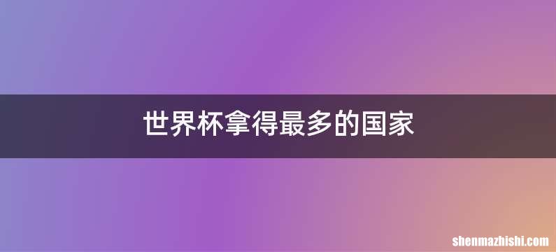 世界杯拿得最多的国家