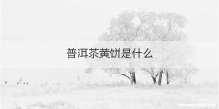 普洱茶黄饼是什么