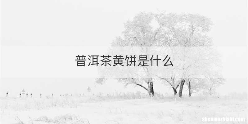 普洱茶黄饼是什么