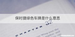 保时捷绿色车牌是什么意思