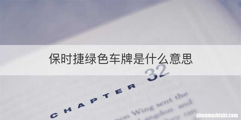 保时捷绿色车牌是什么意思