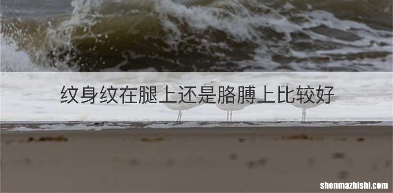 纹身纹在腿上还是胳膊上比较好