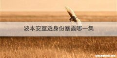 波本安室透身份暴露哪一集