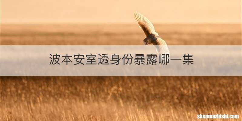 波本安室透身份暴露哪一集