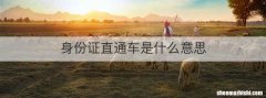 身份证直通车是什么意思