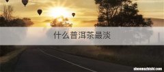 什么普洱茶最淡