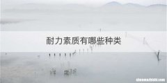 耐力素质有哪些种类