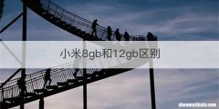 小米8gb和12gb区别