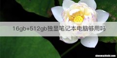 16gb+512gb独显笔记本电脑够用吗