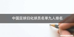 中国足球归化球员名单九人排名