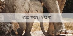 范泽锋有几个徒弟