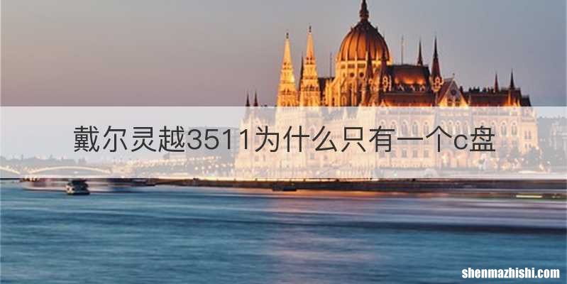 戴尔灵越3511为什么只有一个c盘