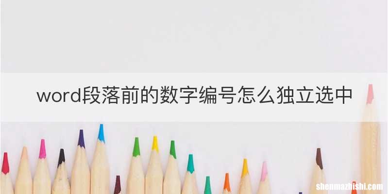 word段落前的数字编号怎么独立选中