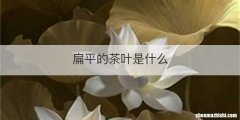 扁平的茶叶是什么