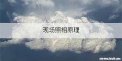 现场照相原理