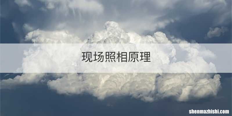 现场照相原理