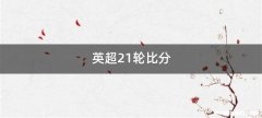 英超21轮比分