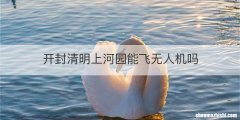 开封清明上河园能飞无人机吗