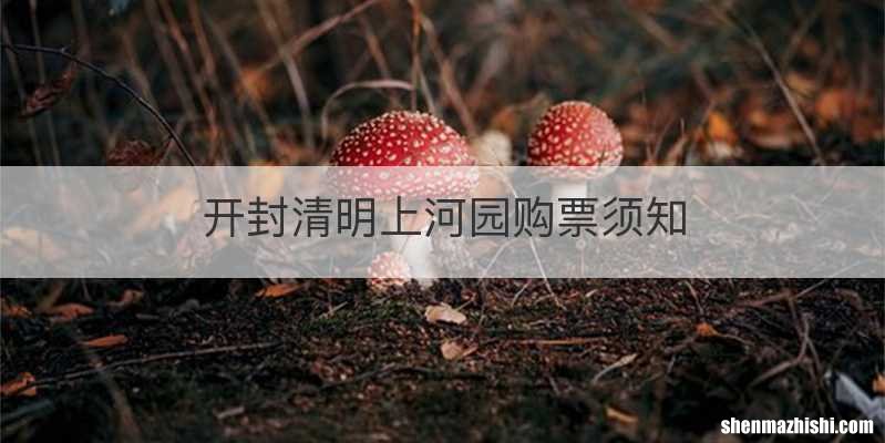 开封清明上河园购票须知