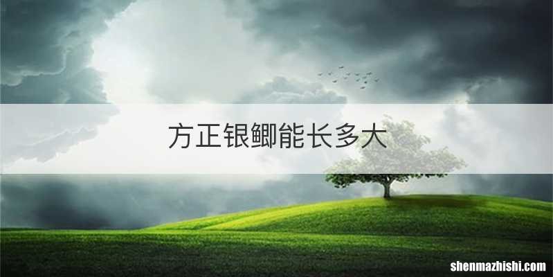 方正银鲫能长多大