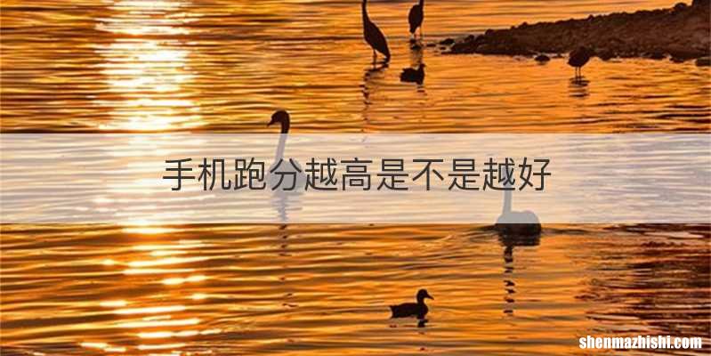 手机跑分越高是不是越好