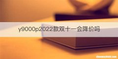 y9000p2022款双十一会降价吗