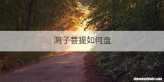 阴子菩提如何盘