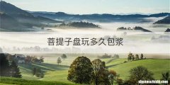 菩提子盘玩多久包浆