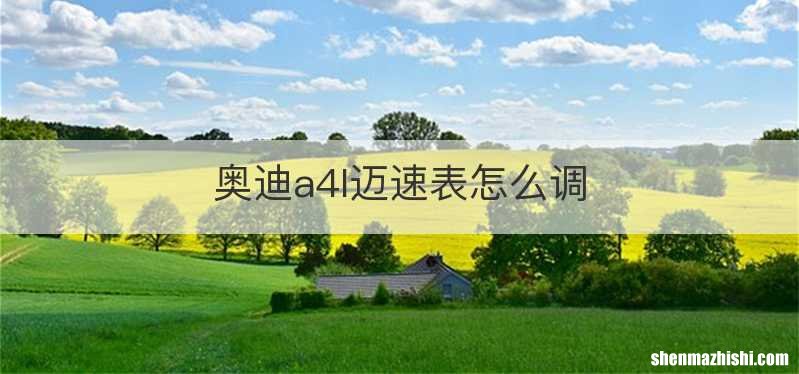 奥迪a4l迈速表怎么调