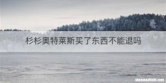 杉杉奥特莱斯买了东西不能退吗