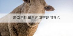济南电瓶车白色牌照能用多久