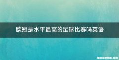 欧冠是水平最高的足球比赛吗英语