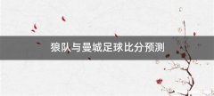 狼队与曼城足球比分预测