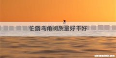 伯爵鸟角阀质量好不好